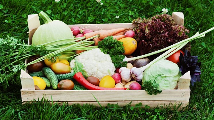 The Benefits of Organic Farming: Healthier Choices for a Sustainable Future